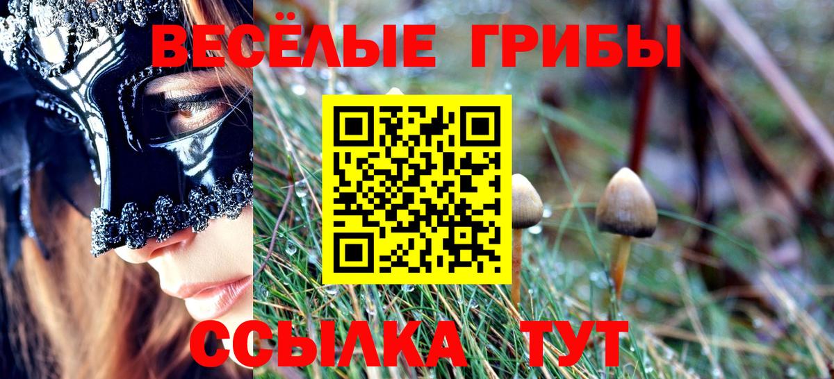 Галлюциногенные грибы Psilocybine cubensis Элиста